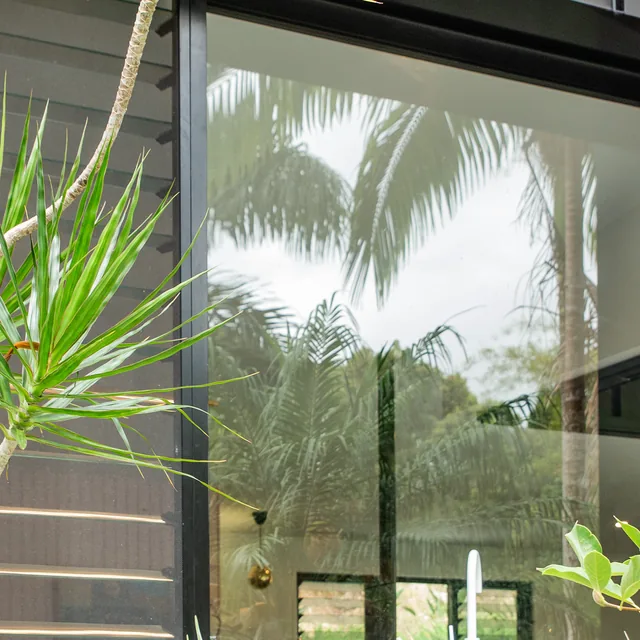 A black-framed picture window set flush into black standing-seam cladding, reflecting palms.